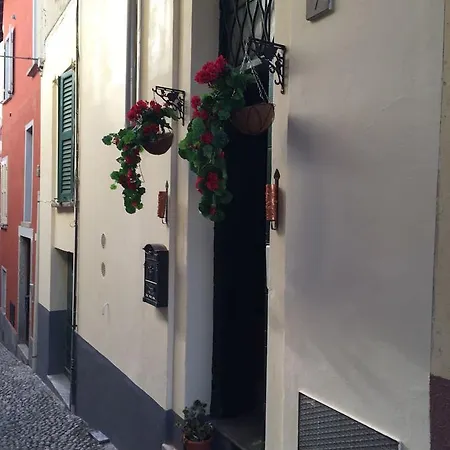 Le Petite Fleur Apartment *